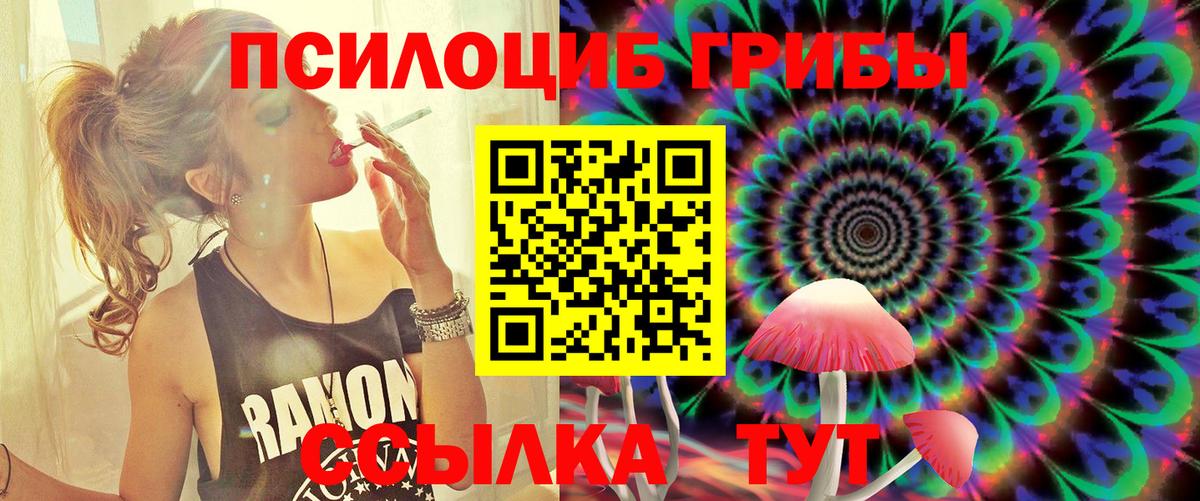 Галлюциногенные грибы Magic Shrooms  Вход с VPN  Санкт-Петербург  Псилоцибиновые грибы Magic Shrooms 